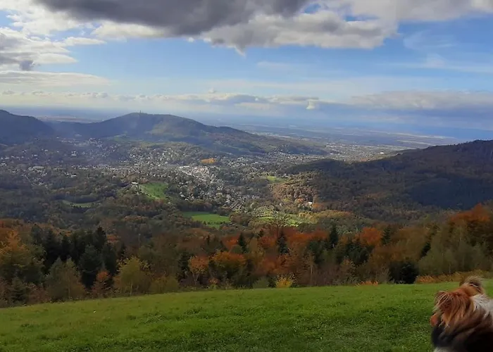Ferienwohnung Baden Baden Rastatt Elsass